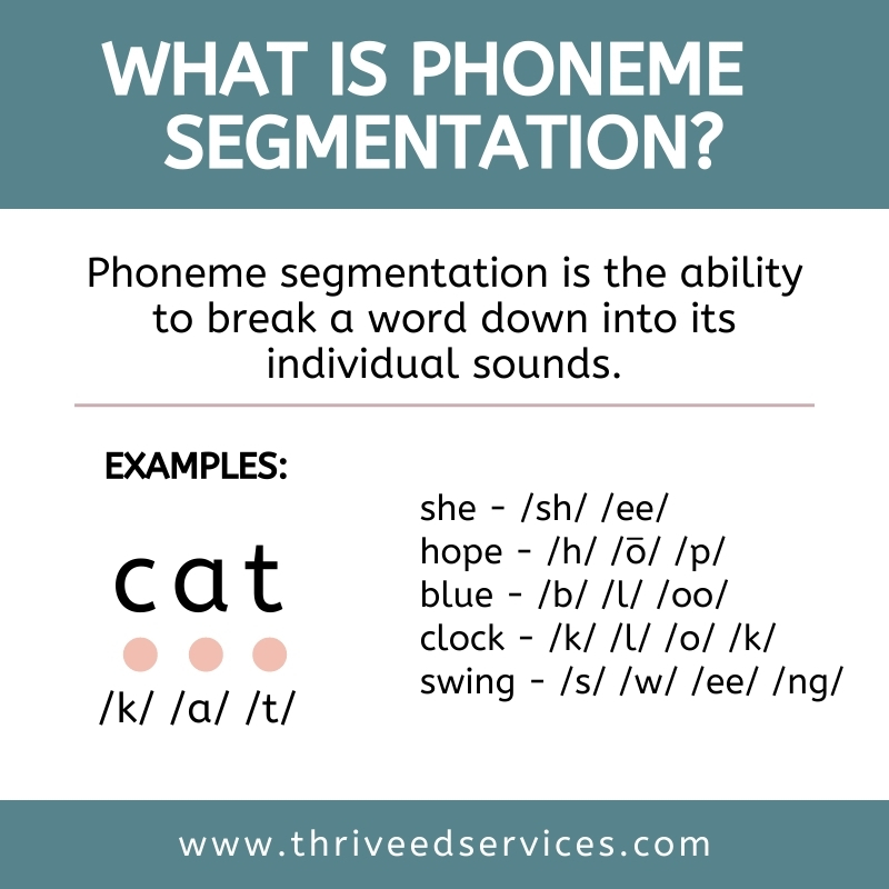 what is phoneme segmentation