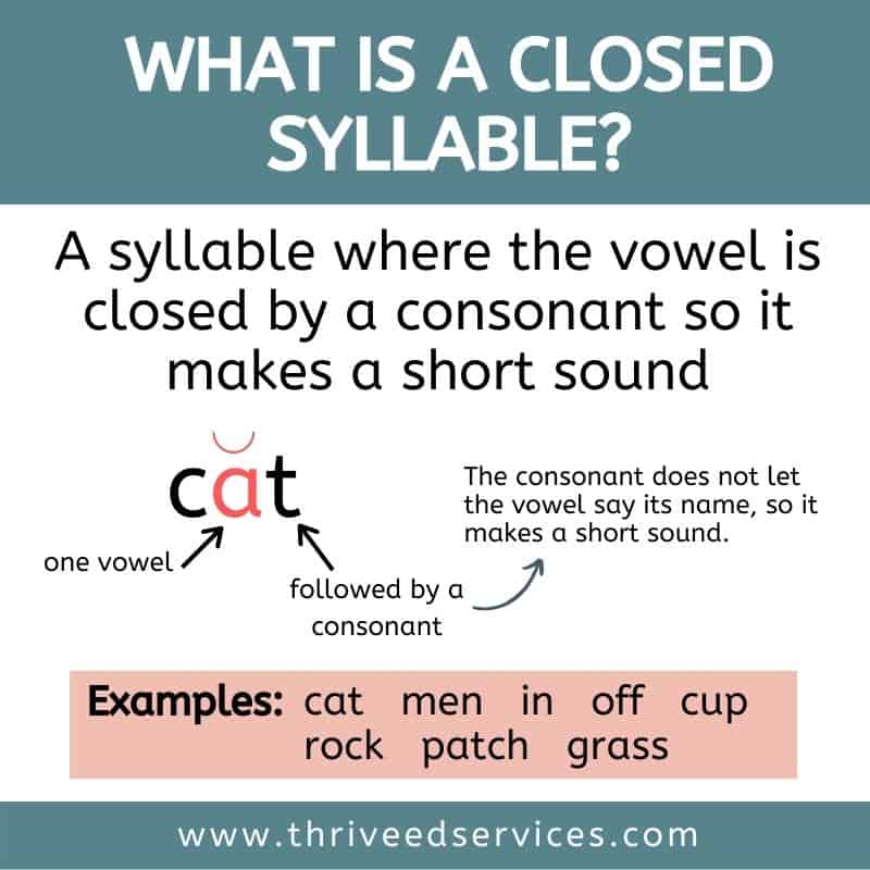 All About Closed Syllable Exceptions Freebies