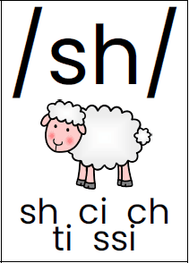 spellings of /sh/ on a phoneme card for a sound wall