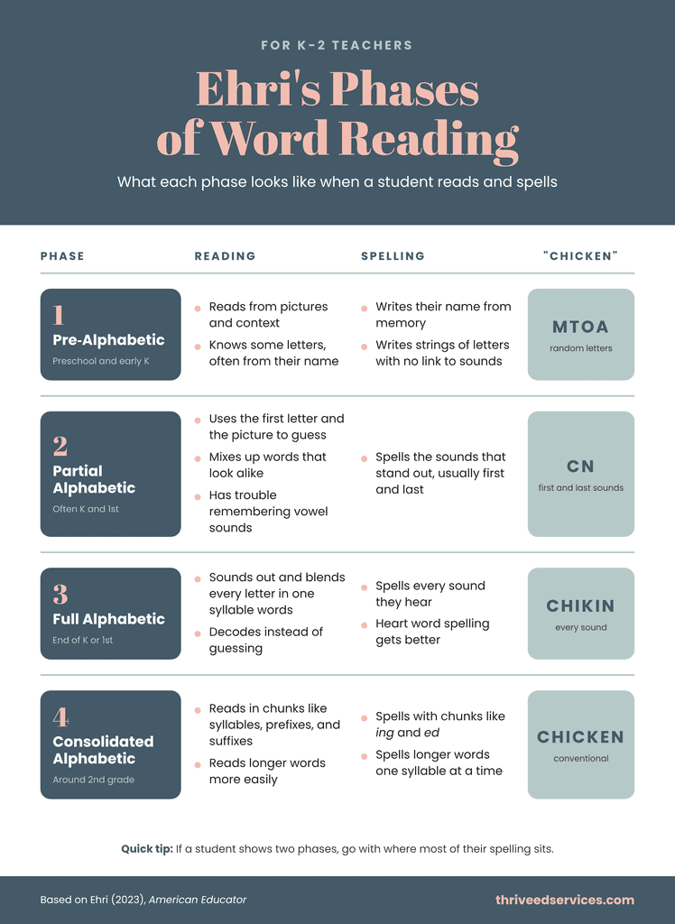 Chart of Ehri’s four phases of word reading showing what reading and spelling look like in each phase, with example spellings of the word chicken: MTOA, CN, CHIKIN, and CHICKEN.